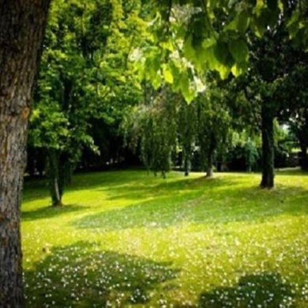 Villa Magnolie Corbetta Екстер'єр фото